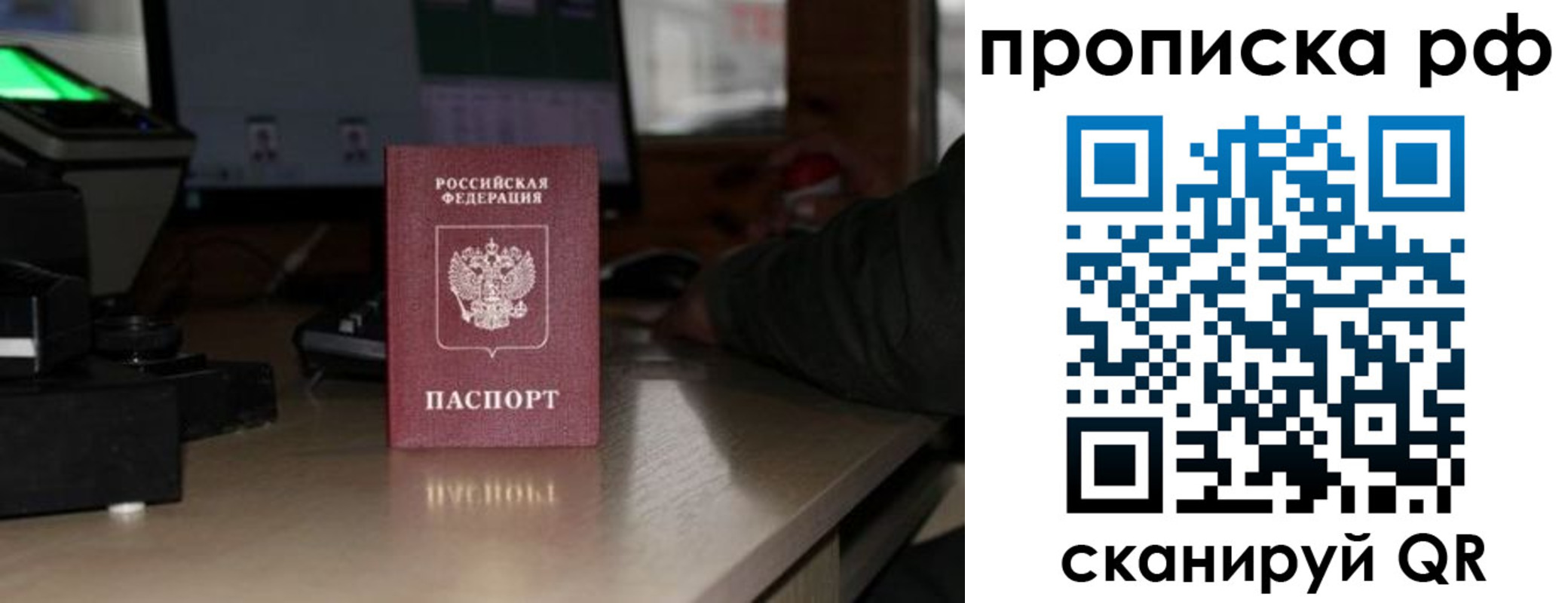 найти адрес прописки в Купино