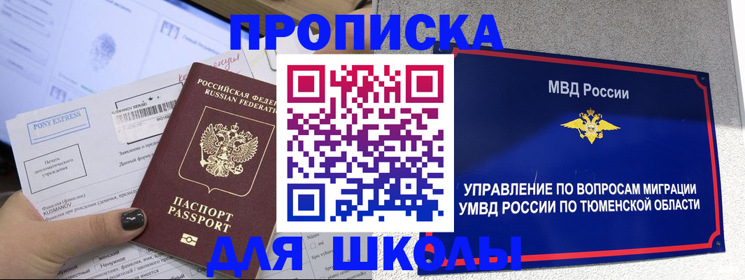 прописка для школы в Купино